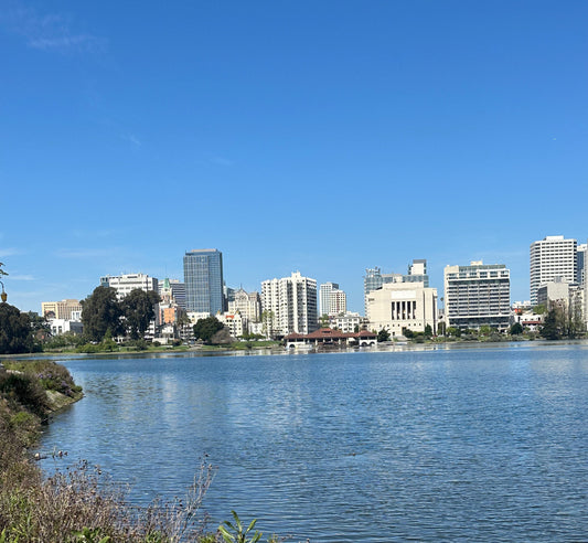 Wellness & Vibes in Oakland, CA: A Local’s Guide