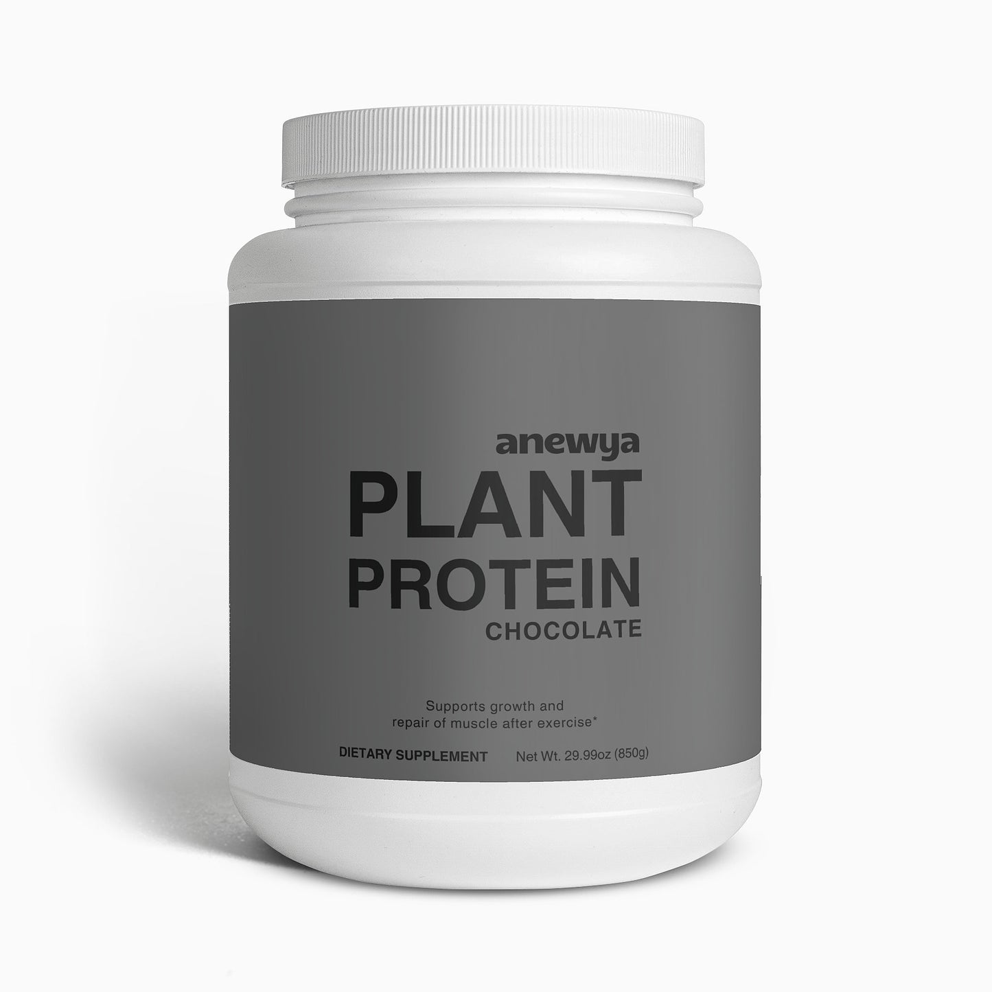 plant protein (chocolate)
